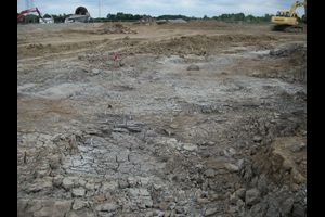 Überschwemmung als Glücksfall – Ein über 2000 Jahre alter naturheiliger Platz in Delbrück-Bentfeld